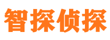 黄骅市侦探调查公司